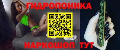 гидра Рыбинск