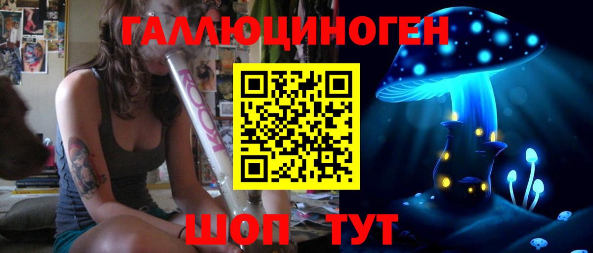 Галлюциногенные грибы Psilocybine cubensis  Вход с VPN  Псилоцибиновые грибы MAGIC MUSHROOMS  Прохладный 
