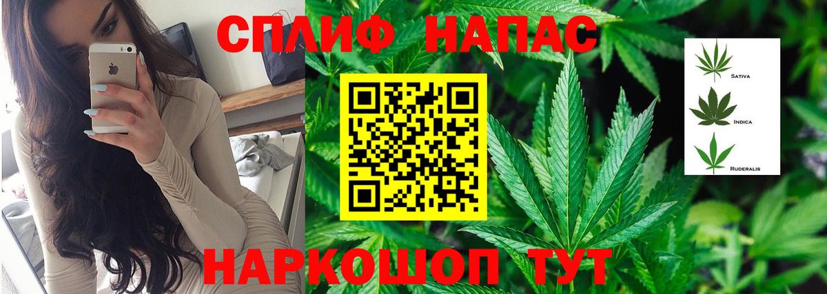 Бошки Шишки конопля Прохладный